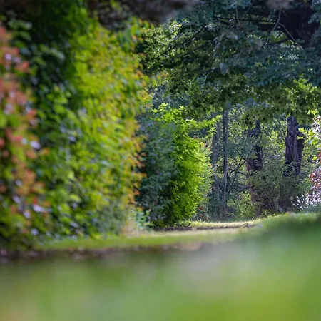 Aparthotel Radiana La Léchère